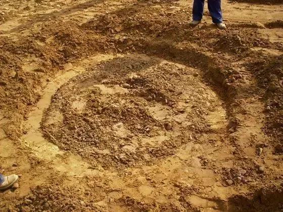 1574306553.jpg 微信圖片_20191121111646.jpg